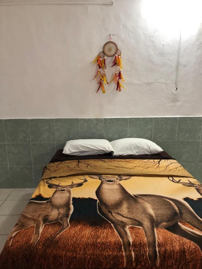טולום Posada 77 מראה חיצוני תמונה